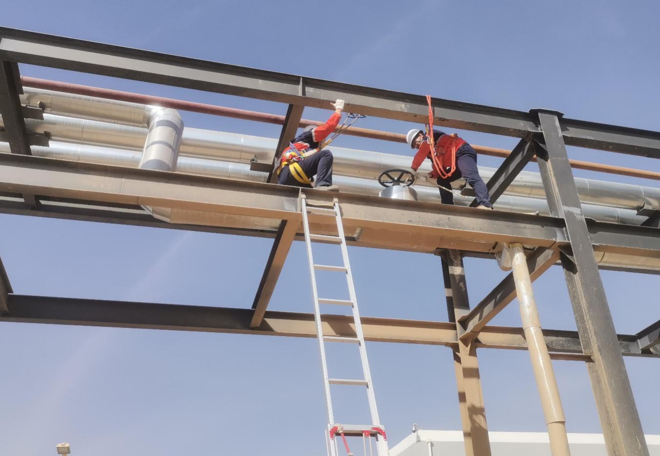 DB����.(�й�)�ٷ���վ