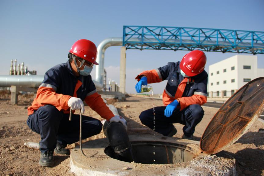 DB����.(�й�)�ٷ���վ