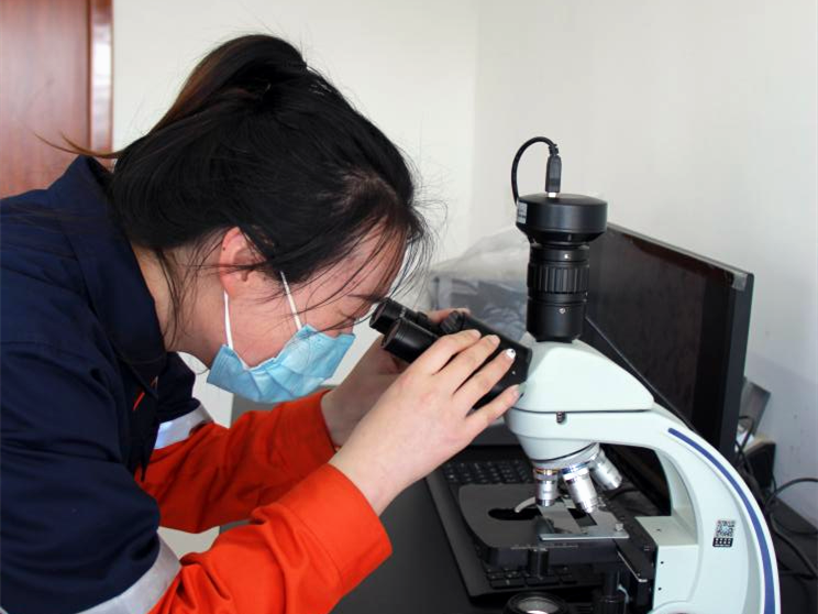 DB����.(�й�)�ٷ���վ