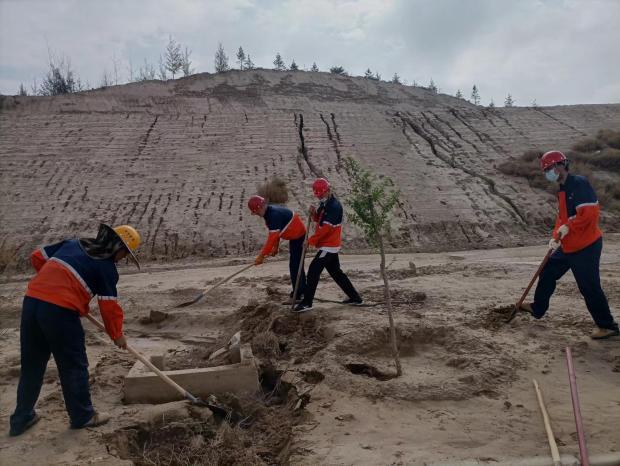 DB����.(�й�)�ٷ���վ