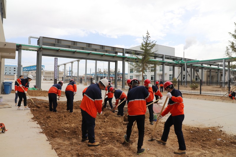 DB����.(�й�)�ٷ���վ