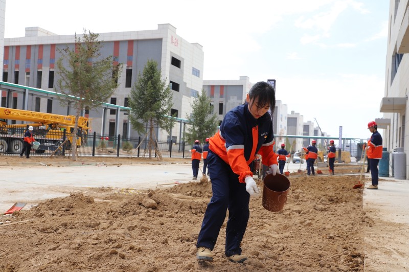 DB����.(�й�)�ٷ���վ