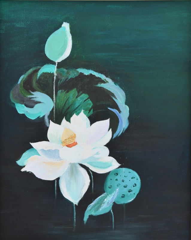 DB����.(�й�)�ٷ���վ