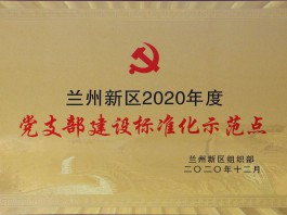 ��֧�������׼��ʾ����